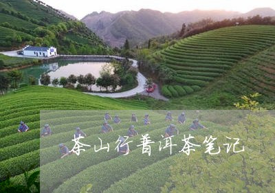 茶山行普洱茶笔记/2023041015027