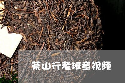 茶山行老班章视频/2023032932709