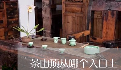 茶山顶从哪个入口上/2023032004846