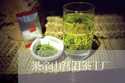 茶帝山普洱茶工厂/2023041127150