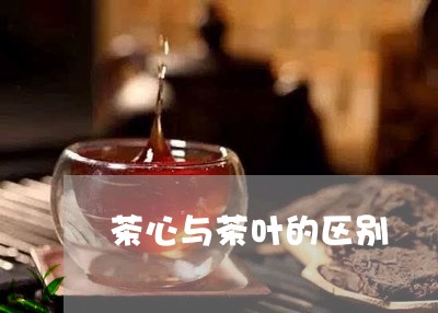 茶心与茶叶的区别/2023032609571