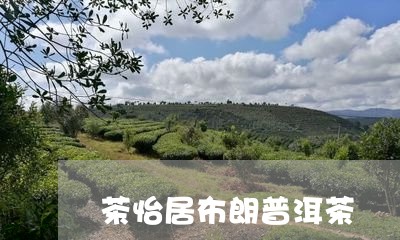 茶怡居布朗普洱茶/2023041128261