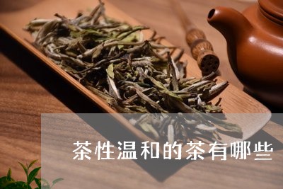 茶性温和的茶有哪些/2023041559725