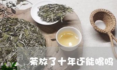 茶放了十年还能喝吗/2023032089372