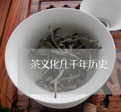 茶文化几千年历史/2023032429816