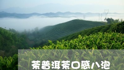 茶普洱茶口感八泡/2023041180572