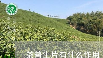 茶普生片有什么作用/2023032135948