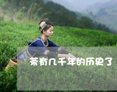 茶有几千年的历史了/2023032076158