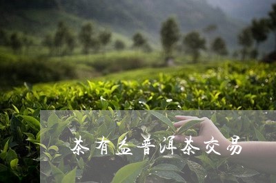 茶有益普洱茶交易/2023031758704