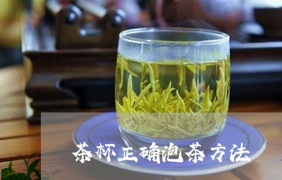 茶杯正确泡茶方法/2023032428561