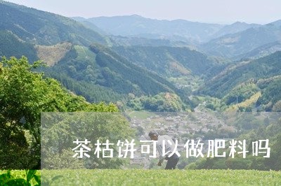 茶枯饼可以做肥料吗/2023041664052