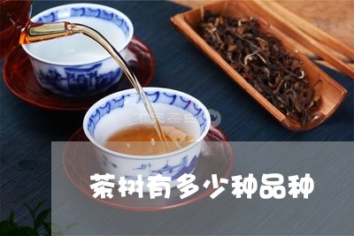 茶树有多少种品种/2023032416169