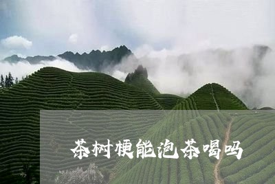 茶树梗能泡茶喝吗/2023032559593