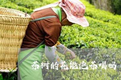 茶树的花能泡茶喝吗/2023041616359