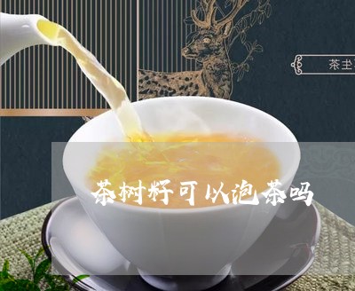 茶树籽可以泡茶吗/2023032509260