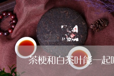 茶梗和白茶叶能一起喝吗/2023032771501