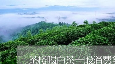 茶楼喝白茶一般消费多少/2023032700493