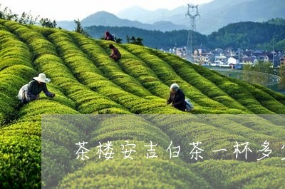 茶楼安吉白茶一杯多少钱/2023032777369