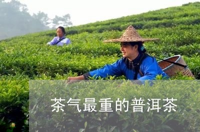 茶气最重的普洱茶/2023041260714