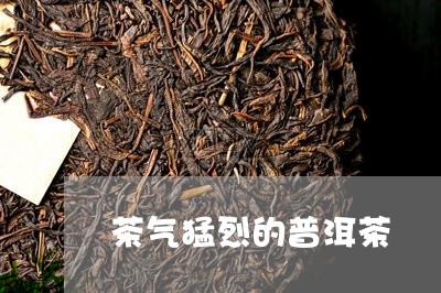 茶气猛烈的普洱茶/2023031617494