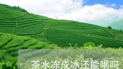 茶水冻成冰还能喝吗/2023041475371