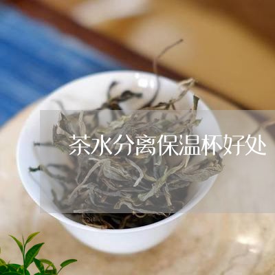 茶水分离保温杯好处/2023041524027