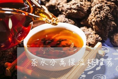 茶水分离保温杯推荐/2023041538251