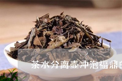 茶水分离壶冲泡福鼎白茶/2023032758381