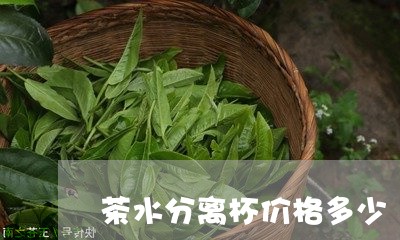 茶水分离杯价格多少/2023041660492