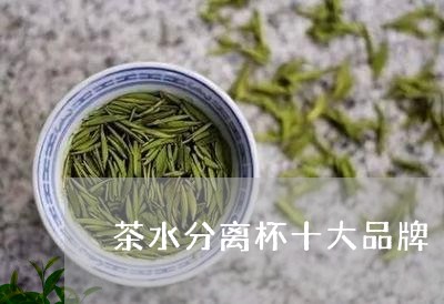 茶水分离杯十大品牌/2023041701805