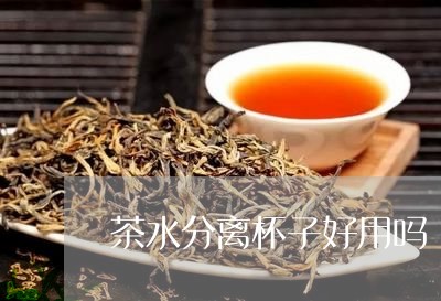 茶水分离杯子好用吗/2023041579382