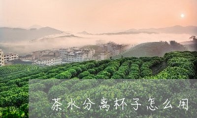 茶水分离杯子怎么用/2023031995936