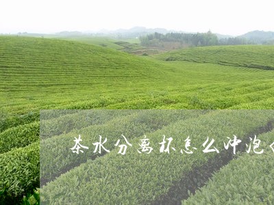 茶水分离杯怎么冲泡白茶/2023032771693