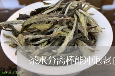 茶水分离杯能冲泡老白茶/2023032753938