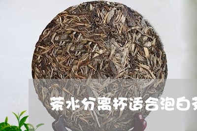 茶水分离杯适合泡白茶吗/2023032715926