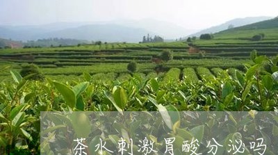 茶水刺激胃酸分泌吗/2023031928603