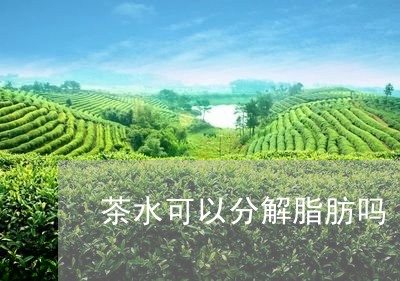 茶水可以分解脂肪吗/2023041507169