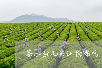 茶水放几天还能喝吗/2023041482815