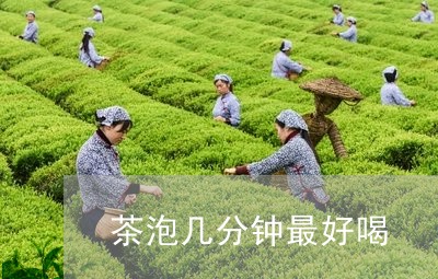 茶泡几分钟最好喝/2023032226168