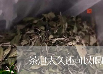 茶泡太久还可以喝吗/2023031806380