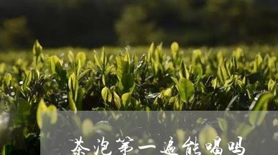 茶泡第一遍能喝吗/2023032279704