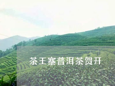 茶王寨普洱茶贺开/2023041304257