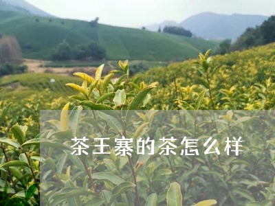 茶王寨的茶怎么样/2023032604925