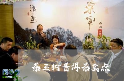 茶王树普洱茶卖点/2023041149280