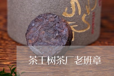 茶王树茶厂老班章/2023032994930