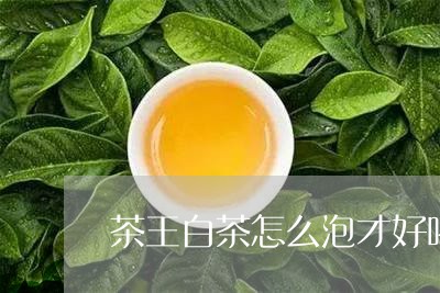 茶王白茶怎么泡才好喝呢/2023032779603