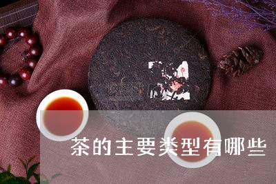 茶的主要类型有哪些/2023032196270