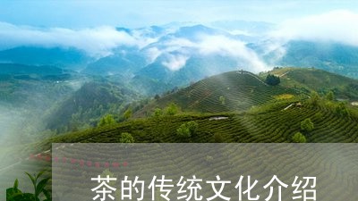 茶的传统文化介绍/2023032552597