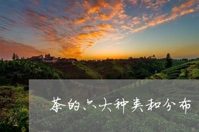 茶的六大种类和分布/2023041788470