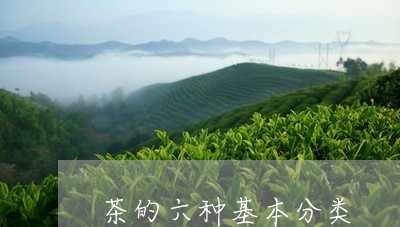 茶的六种基本分类/2023032533158